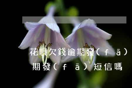 花唄欠錢逾期發(fā)短信嗎(花唄欠錢逾期發(fā)短信嗎)