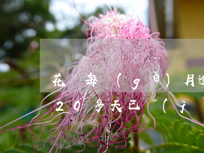 花唄每個(gè)月逾期20天 花唄逾期了20多天已經(jīng)還款什么時(shí)候能恢復(fù)使用
