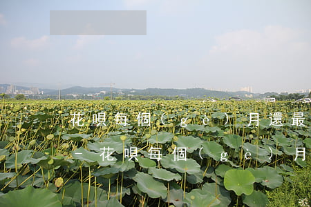 花唄每個(gè)月還最低還款和分期還款-花唄每個(gè)月還最低還款和分期還款哪個(gè)劃算
