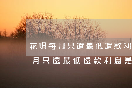 花唄每月只還最低還款利息是多少-花唄每月只還最低還款利息是多少錢