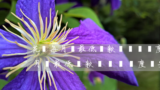 花唄每月還最低還款還會給額度嗎-花唄每月還最低還款還會給額度嗎安全嗎