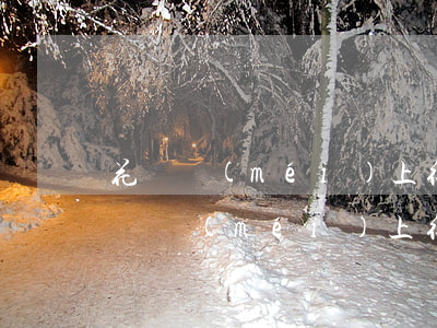 花唄沒(méi)上征信之前的逾期算嗎(花唄沒(méi)上征信之前的逾期算嗎)