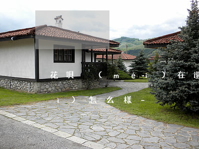 花唄沒(méi)在還款日還花唄會(huì)怎么樣-