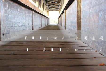 花唄沒(méi)有逾期不能用了影響征信嗎-花唄沒(méi)有逾期不能用了影響征信嗎怎么辦