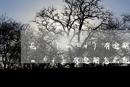 花唄沒(méi)有逾期怎么降了(花唄沒(méi)有逾期怎么就受限了,怎么解除)