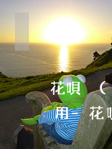 花唄沒(méi)有逾期怎么顯示良好的信用-花唄沒(méi)有逾期怎么顯示良好的信用額度