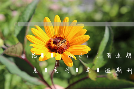 花唄沒(méi)有逾期會(huì)漲利息嗎(支付寶花唄逾期利息能申請(qǐng)去掉嗎)