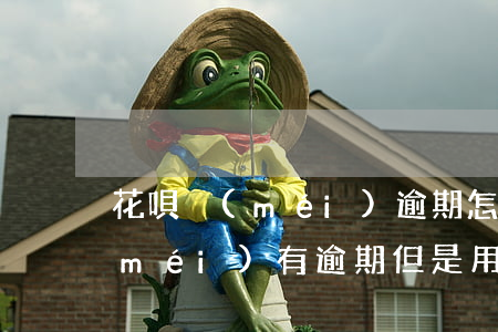 花唄沒(méi)逾期怎么還款的 花唄沒(méi)有逾期但是用不了還能解除嗎