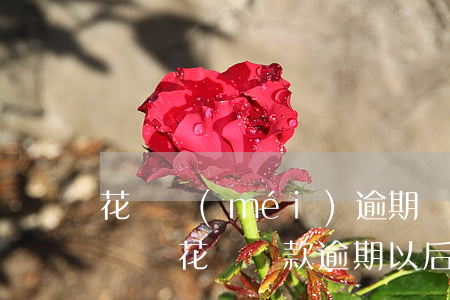 花唄沒(méi)逾期會(huì)影響買車嗎(花唄還款逾期以后買房買車會(huì)有影響嗎)