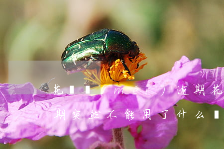 花唄沒(méi)逾期，花唄沒(méi)逾期突然不能用了 什么時(shí)候能恢復(fù)