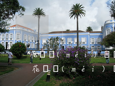 花唄沒(méi)還會(huì)影響什么（花唄沒(méi)還就會(huì)逾期嗎）