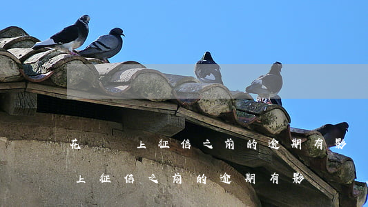 花唄沒上征信之前的逾期有影響嗎-花唄沒上征信之前的逾期有影響嗎怎么辦