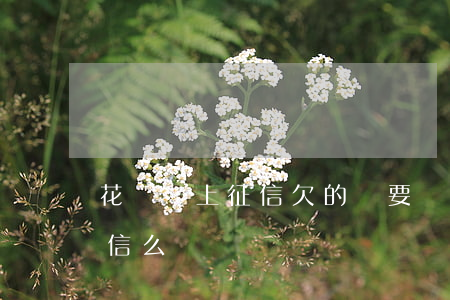 花唄沒上征信欠的錢要還嗎(花唄不還會上征信么)
