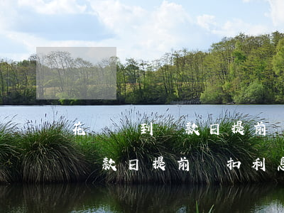 花唄沒到還款日提前還扣利息嗎-花唄沒到還款日提前還扣利息嗎怎么辦