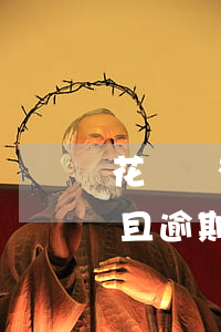 花唄沒有上征信而且逾期(花唄沒有上征信而且逾期)