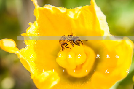 花唄沒有能力還款能每個(gè)月還一點(diǎn)-花唄突然無法使用了,還款可以每個(gè)月還最低嗎
