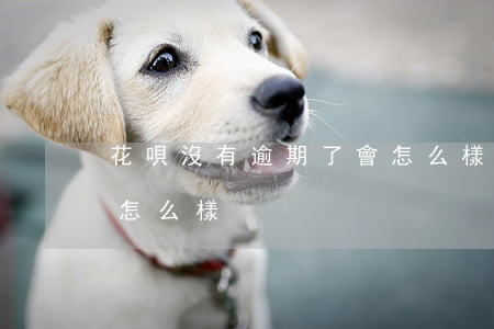 花唄沒有逾期了會怎么樣(花唄沒有逾期了會怎么樣)