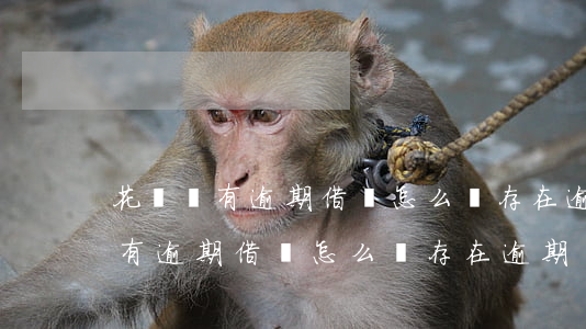 花唄沒有逾期借唄怎么說存在逾期-花唄沒有逾期借唄怎么說存在逾期記錄