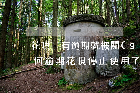 花唄沒有逾期就被關(guān)閉(沒有任何逾期花唄停止使用了)