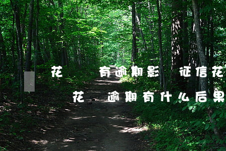 花唄沒有逾期影響征信(花唄借唄逾期上征信嗎?花唄逾期有什么后果)