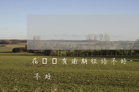 花唄沒有逾期征信不好-花唄沒有逾期征信不好