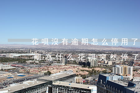 花唄沒有逾期怎么停用了(花唄借唄都沒有逾期,為什么花唄突然停了)
