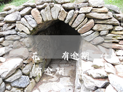 花唄沒有逾期為什么停用(花唄突然被停用 沒有逾期 難道是要漲額度嗎?)