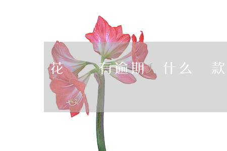 花唄沒有逾期為什么還款額變高了