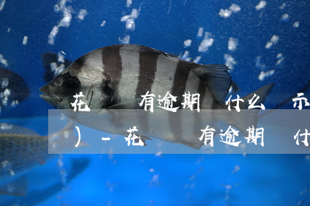 花唄沒有逾期為什么顯示賬戶凍結(jié)-花唄沒有逾期為什么顯示賬戶凍結(jié)了