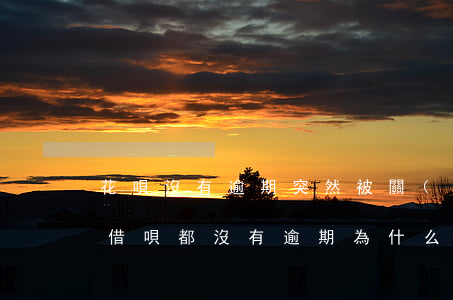 花唄沒有逾期突然被關(guān)閉(花唄借唄都沒有逾期,為什么花唄突然停了)