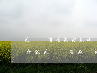花唄沒有逾期突然被關閉了,不能使用是因為什么（花唄沒逾期會被關掉嗎）