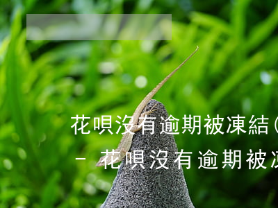 花唄沒有逾期被凍結(jié)了怎么解開-花唄沒有逾期被凍結(jié)了怎么解開呢