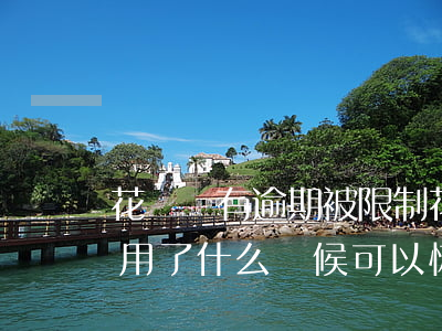 花唄沒有逾期被限制(花唄沒有逾期被限制使用了,什么時候可以恢復(fù))