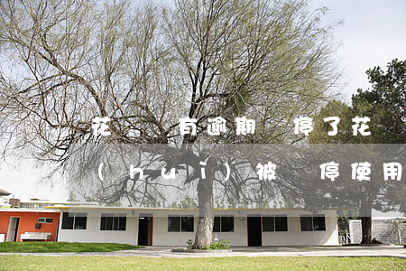 花唄沒有逾期過停了(花唄沒有逾期為什么會(huì)被暫停使用要多久才能恢復(fù))