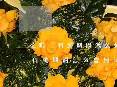 花唄沒有逾期過怎么會無法使用呢-花唄沒有逾期過怎么會無法使用呢怎么回事