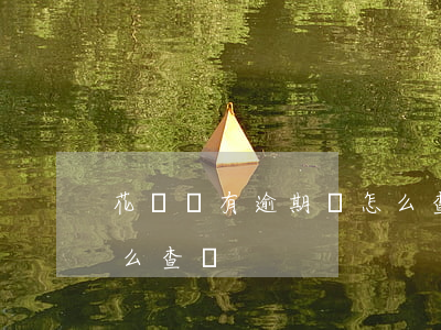 花唄沒有逾期過怎么查詢(花唄沒有逾期過怎么查詢)