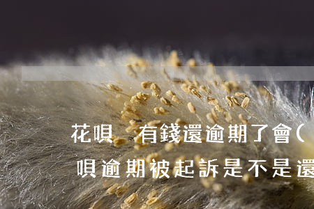 花唄沒有錢還逾期了會(huì)起訴嗎(花唄逾期被起訴,是不是還了就沒事了)