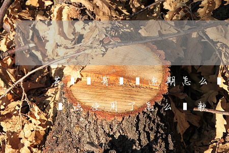 花唄沒有錢還逾期怎么辦(花唄顯示逾期,花唄無法使用了,怎么還款)