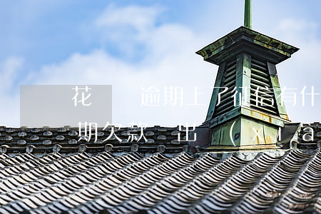 花唄沒逾期上了征信有什么后果-花唄無逾期欠款會出現(xiàn)在征信報告中嗎