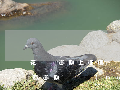 花唄沒逾期上征信記錄嗎(支付寶花唄從來沒有逾期還過會(huì)影響征信嗎)