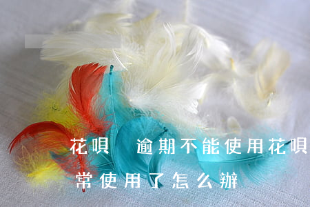 花唄沒逾期不能使用(花唄沒有逾期卻無法正常使用了怎么辦)