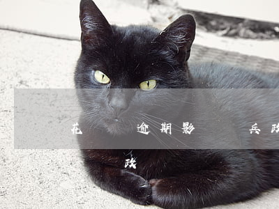 花唄沒逾期影響當兵政審(花唄沒還完影響公務員政審嗎)