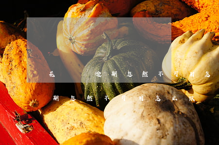 花唄沒逾期忽然不可用怎么恢復-花唄沒逾期忽然不可用怎么恢復正常