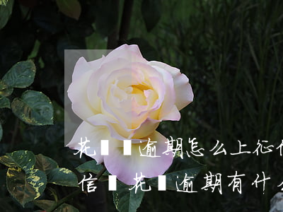 花唄沒逾期怎么上征信了(花唄逾期多久上征信嗎?花唄逾期有什么后果)