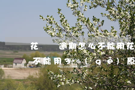 花唄沒逾期怎么不能用(花唄沒有逾期為什么不能用?3個(gè)原因造成的)