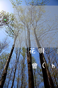 花唄沒逾期怎么被停用(花唄沒有逾期為什么會(huì)被暫停使用要多久才能恢復(fù))
