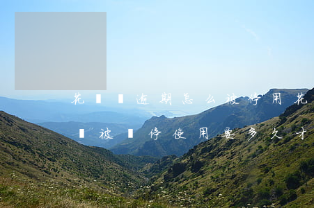花唄沒逾期怎么被停用(花唄沒有逾期為什么會被暫停使用要多久才能恢復)