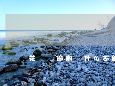 花唄沒逾期為什么不能最低還款-