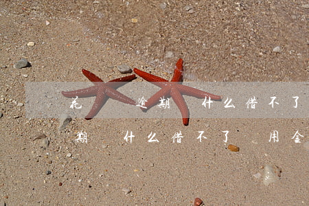 花唄沒逾期為什么借不了備用金-花唄沒逾期為什么借不了備用金呢