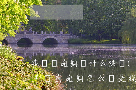 花唄沒逾期為什么被評(píng)估(花唄并沒有逾期怎么還是提示逾期了)